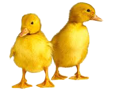 Paskeaften
